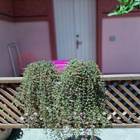 Maison Belle Epoque & Suites オリスターノ エクステリア 写真