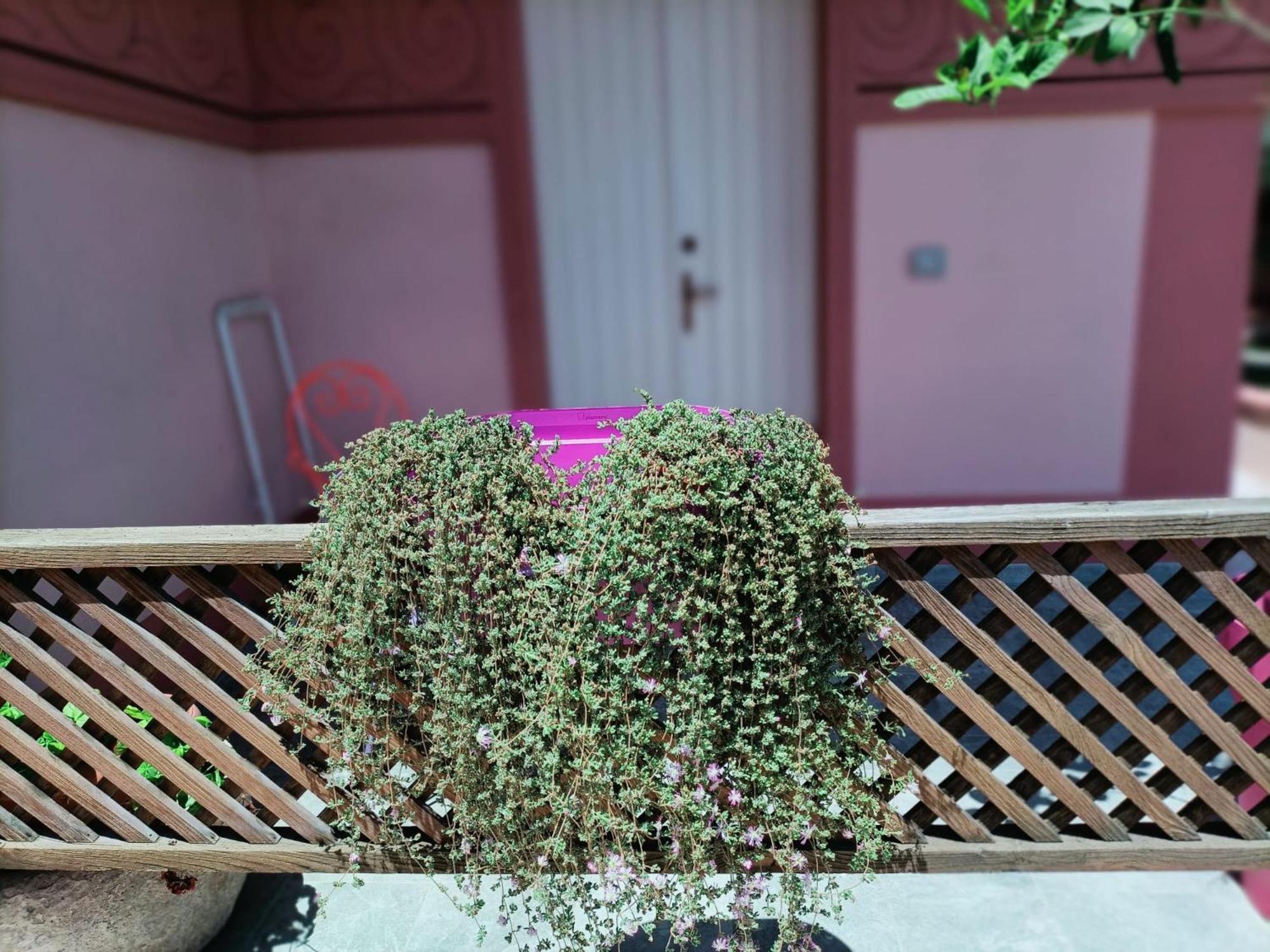 Maison Belle Epoque & Suites オリスターノ エクステリア 写真